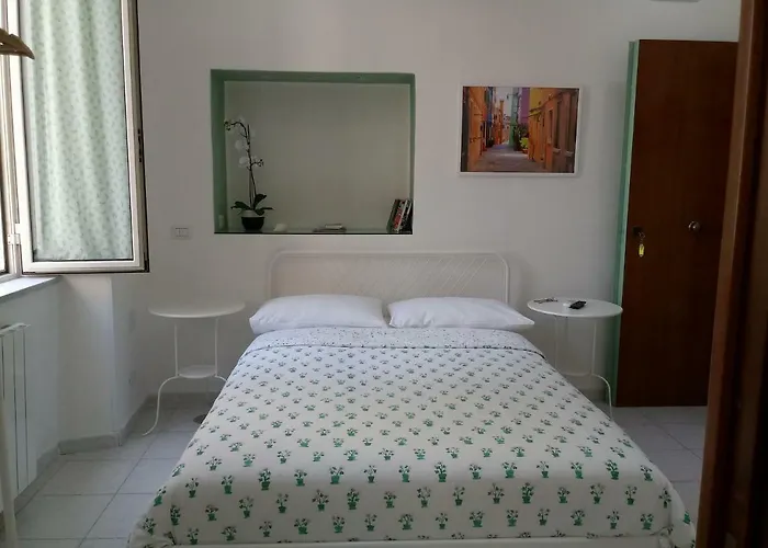 Magic Napoli Green